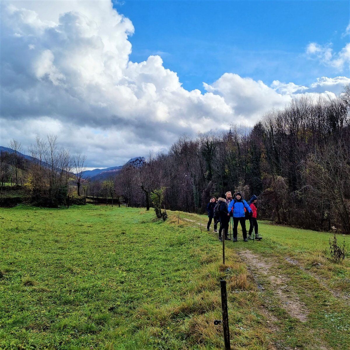 Valli del Pasubio: Percorso con Degustazione in Fattoria desktop picture