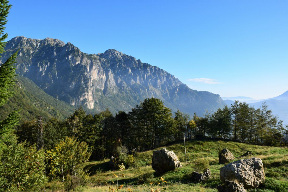 Valli del Pasubio: Percorso con Degustazione in Fattoria desktop picture