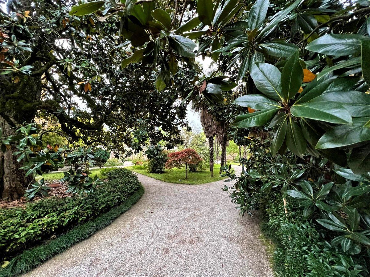 Uscita di Gruppo a Padova: La Città Amata da Galileo Uscita di Gruppo a Padova: La Città Amata da Galileo desktop picture