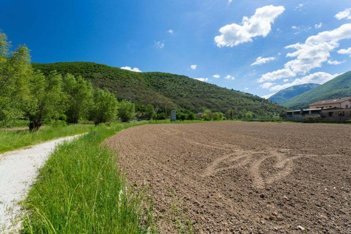 I Panoramici Sentieri del Monte Vermenone desktop picture