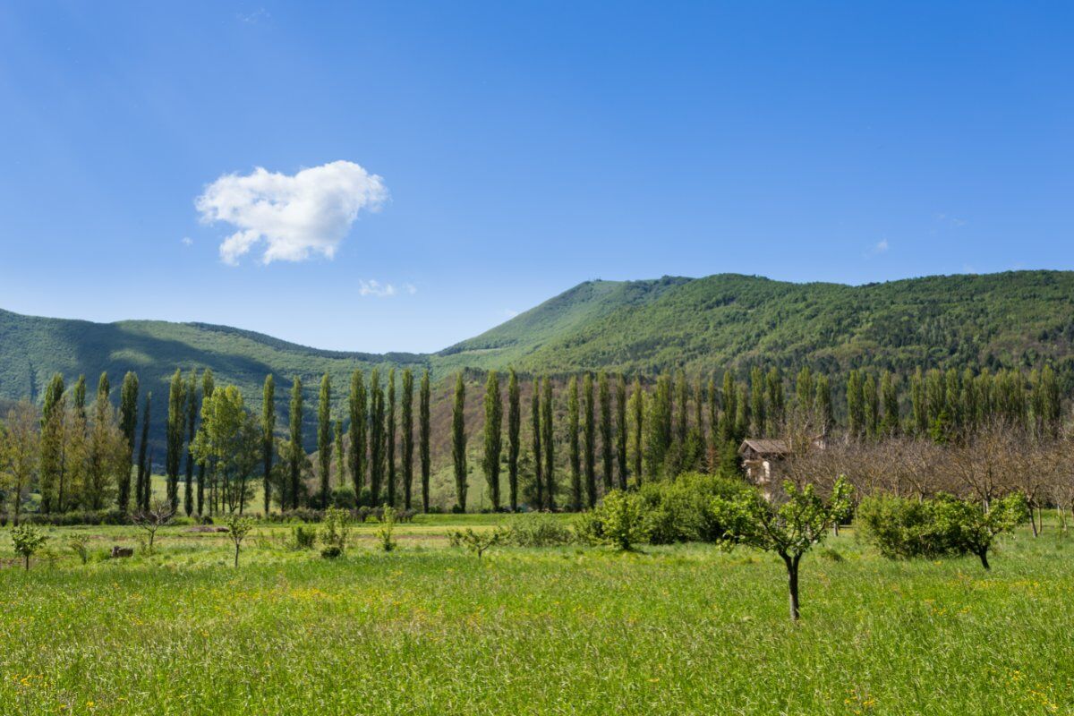 I Panoramici Sentieri del Monte Vermenone desktop picture