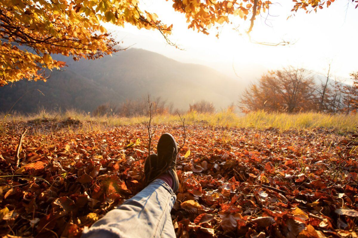 Tra funghi e castagni: Camminata autunnale nella Valle dell'Arbia desktop picture