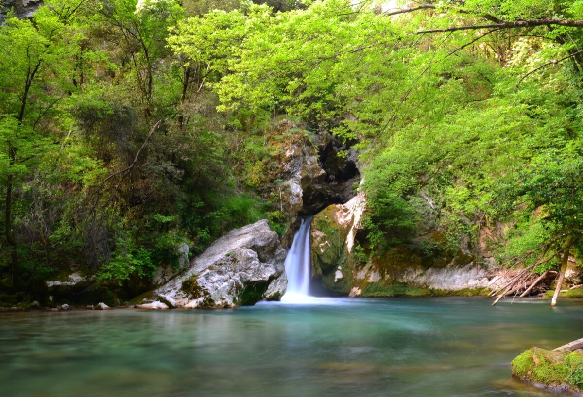 Bagno di Bosco Shinrin-Yoku nel Parco dei Monti Simbruini desktop picture