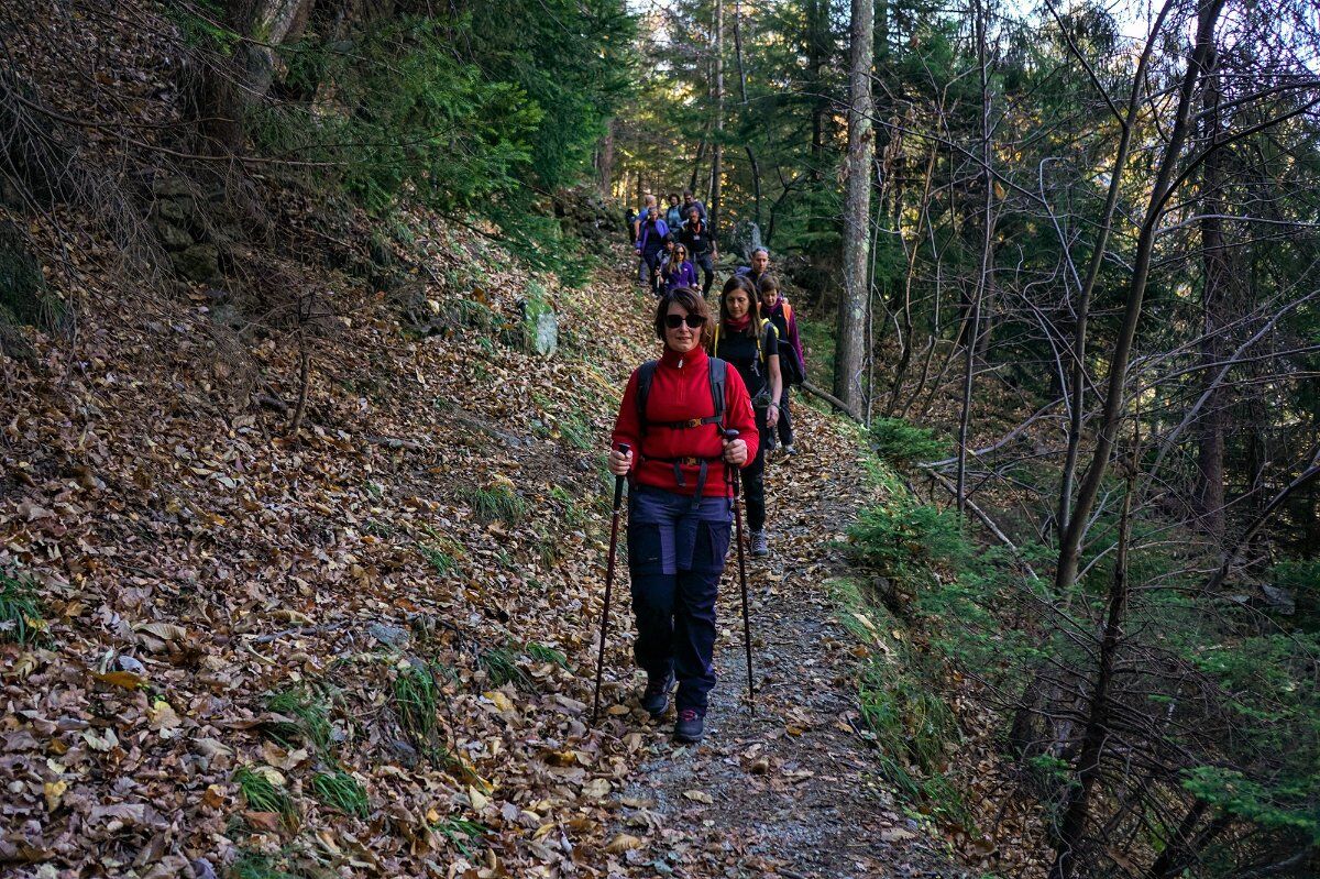 Tra pietra e legno: Escursione alle antiche frazioni di Varzo Tra pietra e legno: Escursione alle antiche frazioni di Varzo desktop picture