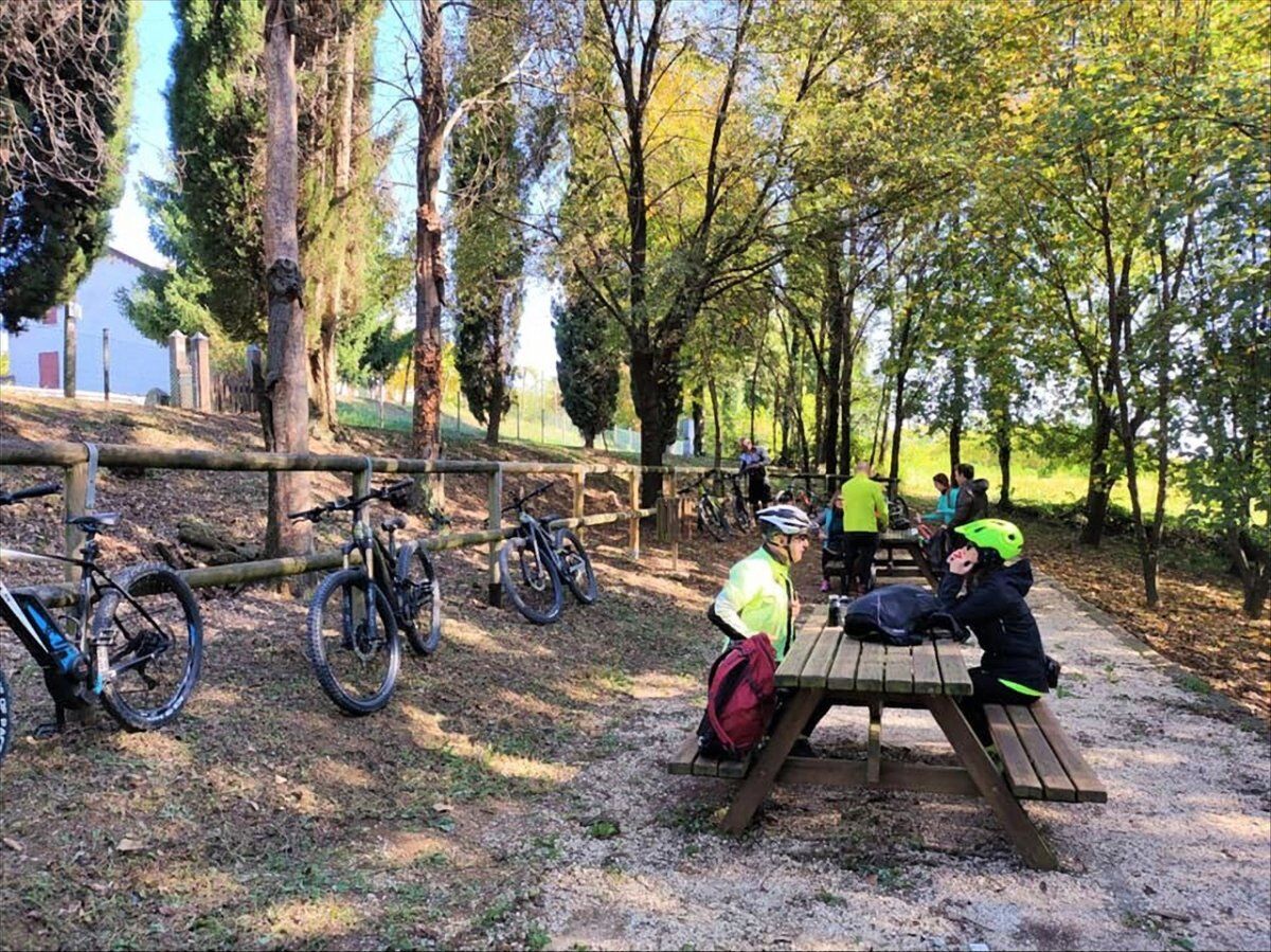 E-Bike Tour nel Bosco del Montello desktop picture