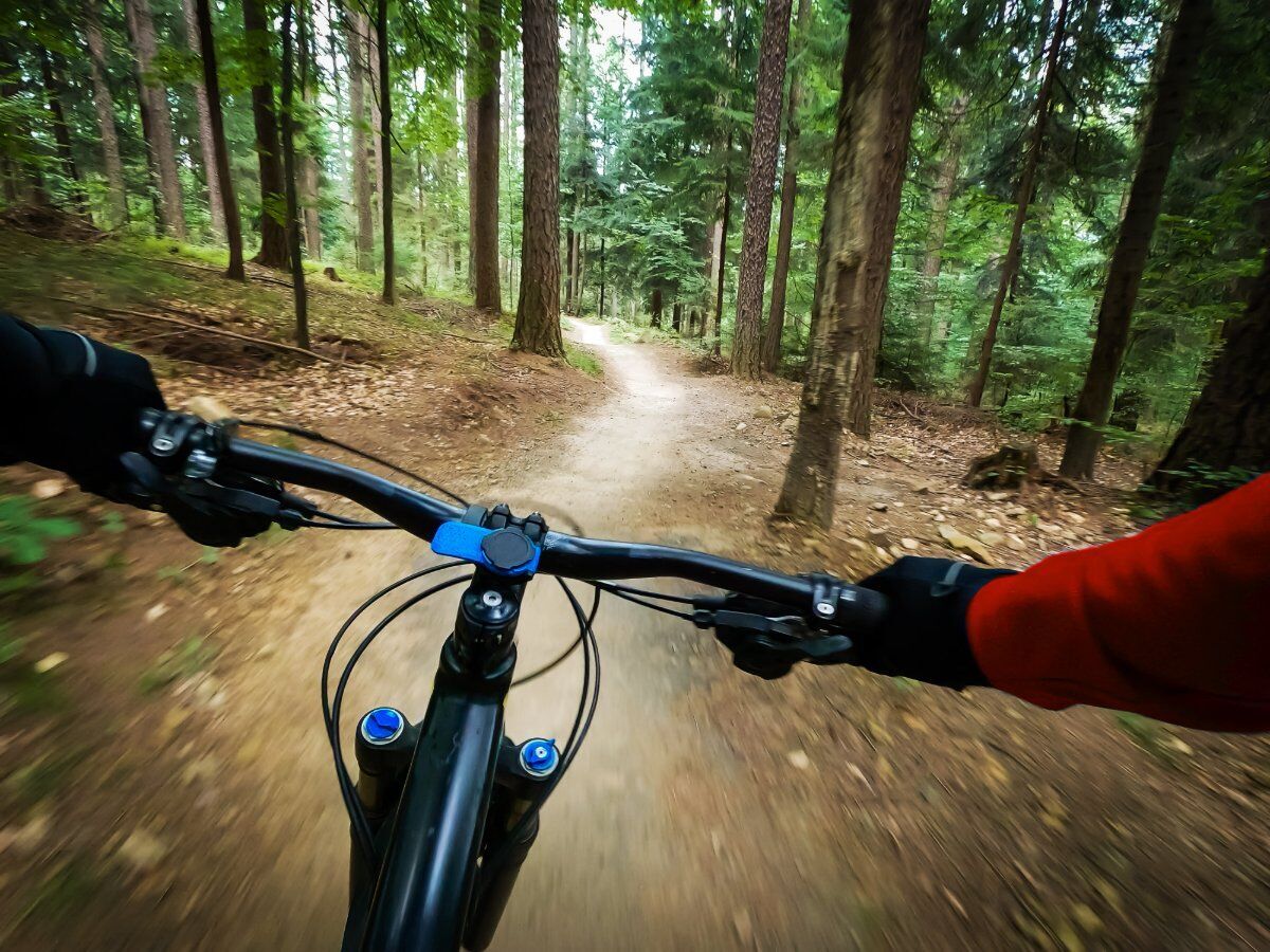 E-Bike Tour nel Bosco del Montello desktop picture