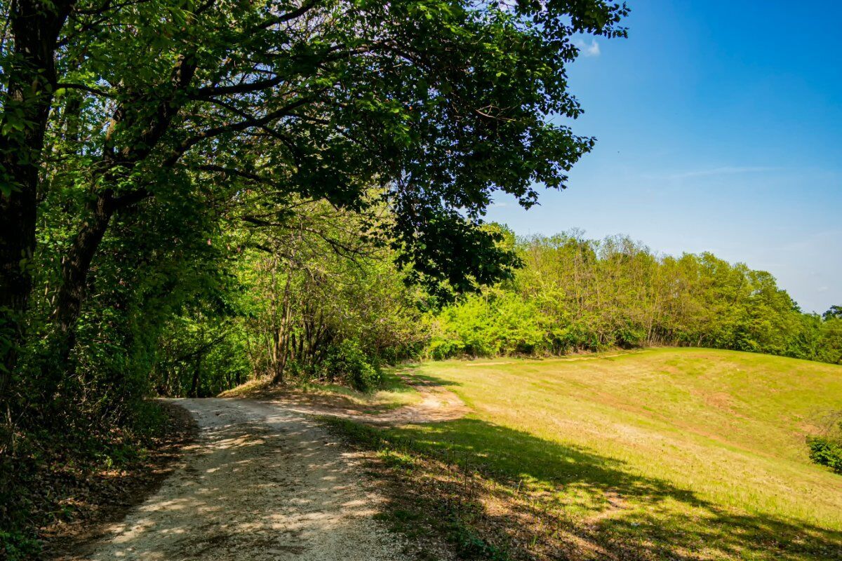 E-Bike Tour nel Bosco del Montello desktop picture