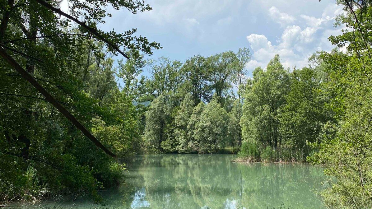 Vincheto di Celarda: Un Trekking nella Riserva Naturale Vincheto di Celarda: Un Trekking nella Riserva Naturale desktop picture