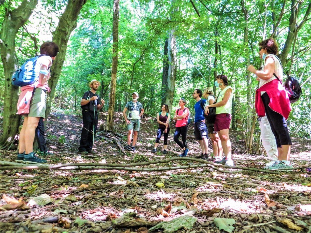 Emozioni d’autunno nel Parco Pineta: una Passeggiata negli ecosistemi desktop picture