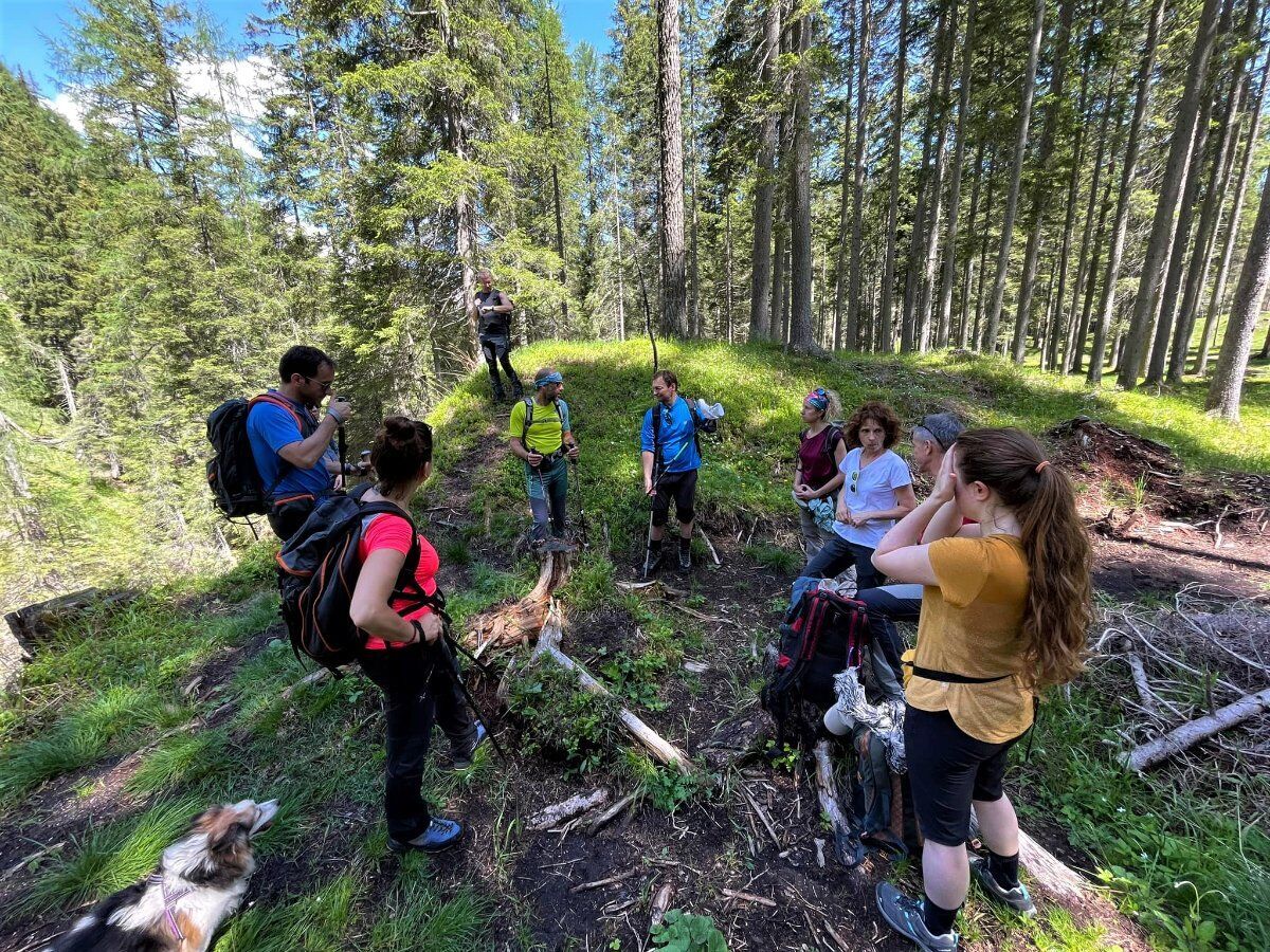 L’incanto dell’acqua: Trekking fra le Gores de Federa L’incanto dell’acqua: Trekking fra le Gores de Federa desktop picture