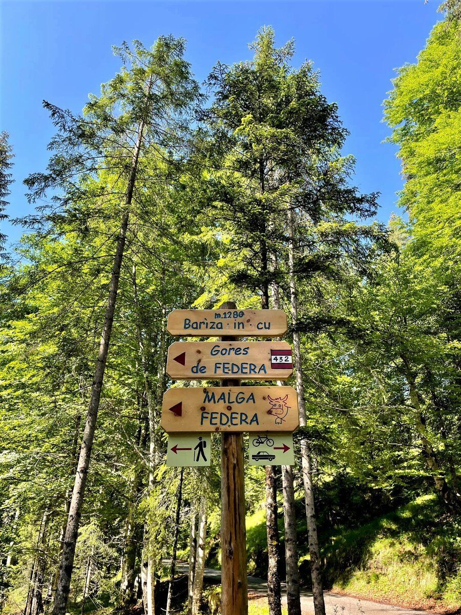 L’incanto dell’acqua: Trekking fra le Gores de Federa L’incanto dell’acqua: Trekking fra le Gores de Federa desktop picture