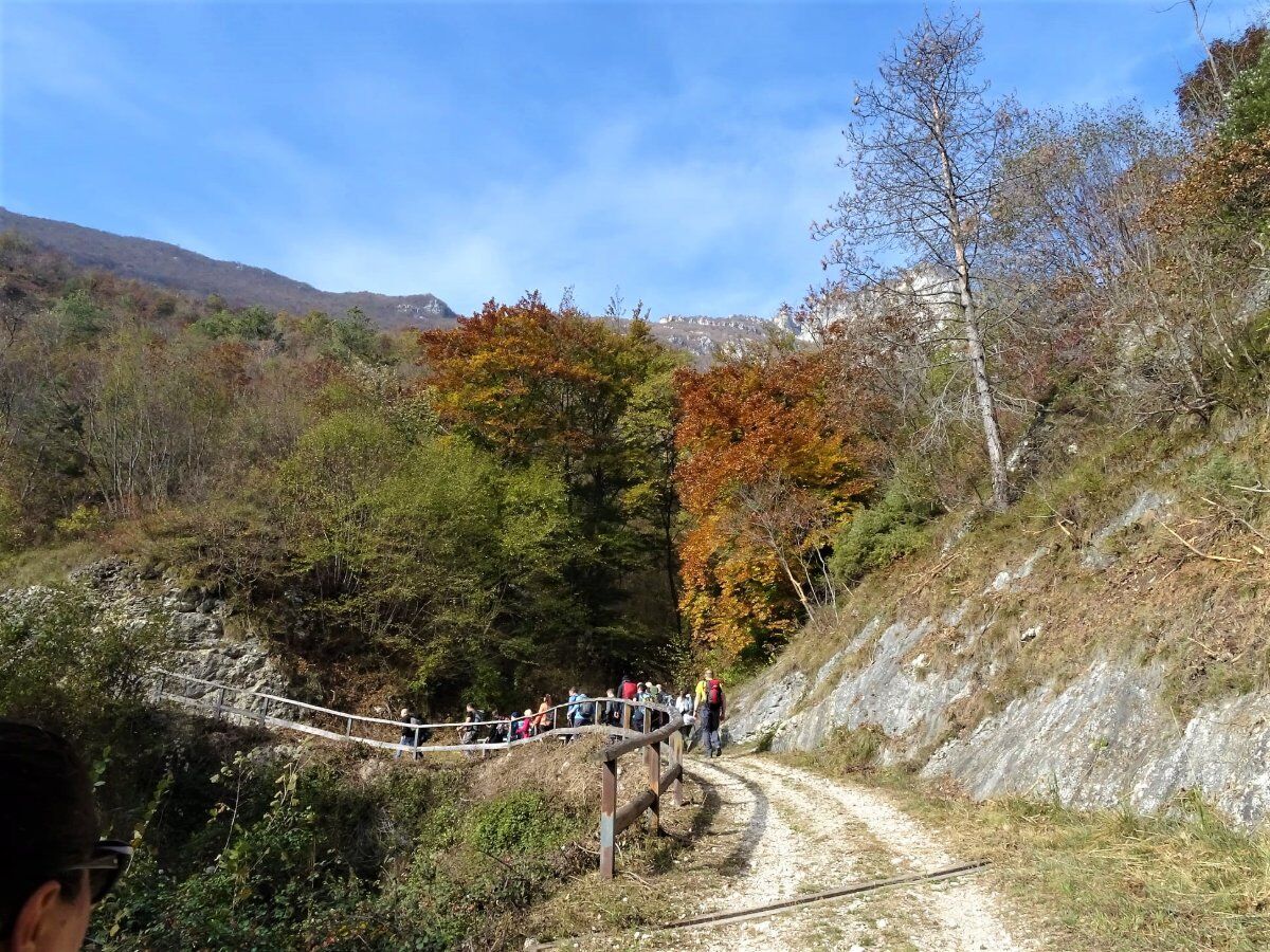 Trekking con visita guidata al Castello di Avio desktop picture