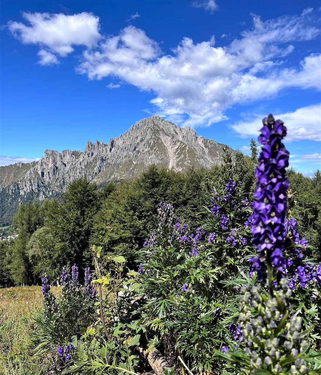Sulla vetta del Monte Coltignone: Escursione tra scorci sconfinati desktop picture