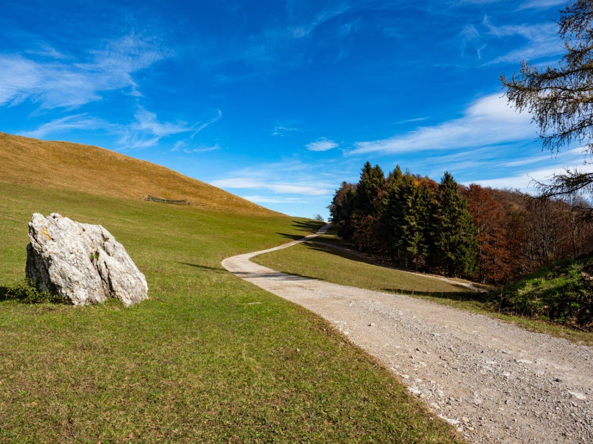 La Passerella dei Piani Resinelli: camminata tra incanto e adrenalina desktop picture