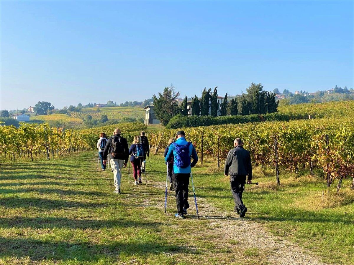 Escursione tra vigneti e fossili: i tesori di Montescano Escursione tra vigneti e fossili: i tesori di Montescano desktop picture