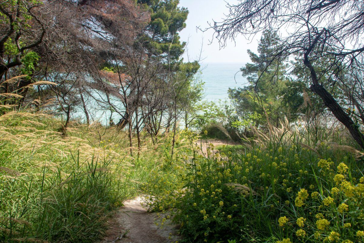 Monte Conero: Un Trekking nella Storia della Pietra Bianca Monte Conero: Un Trekking nella Storia della Pietra Bianca desktop picture