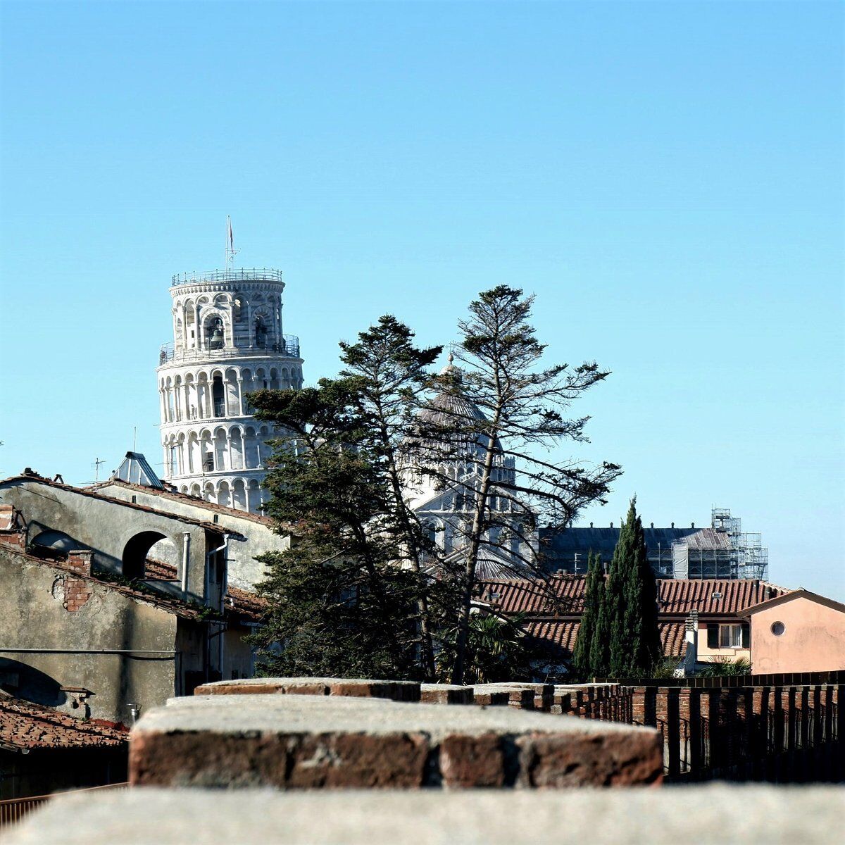 Spettacolare Pisa dall'alto: Passeggiata guidata lungo le Mura desktop picture