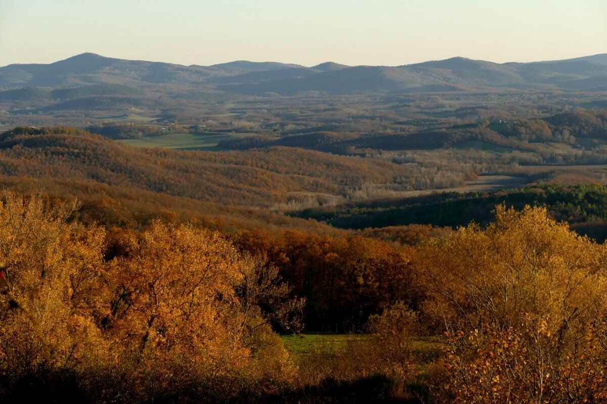 I Sentieri dei Daini: Escursione nella Riserva Naturale di Cornocchia desktop picture