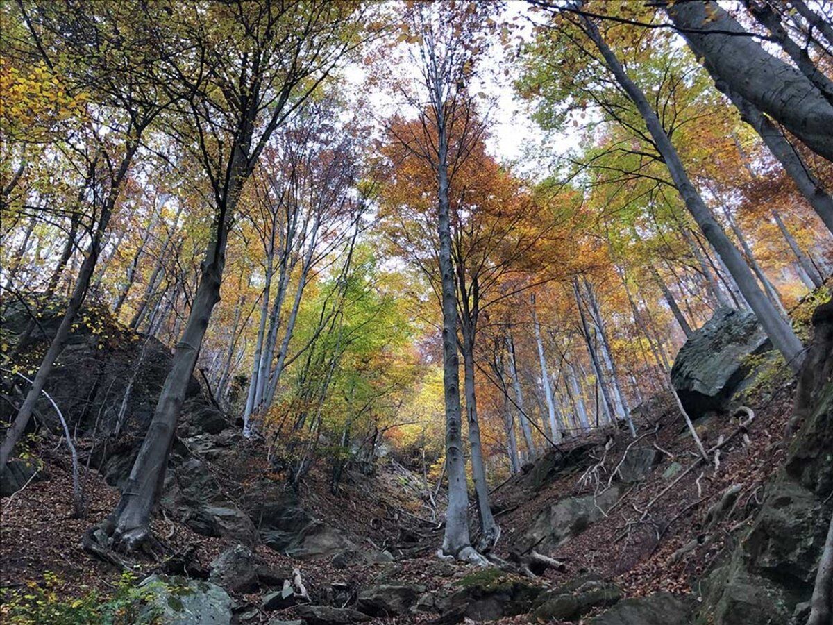 Passeggiata Autunnale tra i Panorami delle Valli di Lanzo Passeggiata Autunnale tra i Panorami delle Valli di Lanzo desktop picture