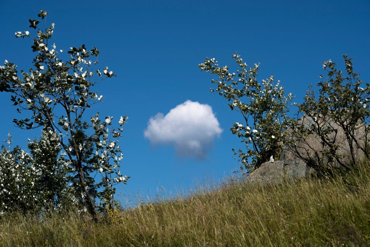 Punta Sourela: Trekking sulla Vetta Piemontese Punta Sourela: Trekking sulla Vetta Piemontese desktop picture