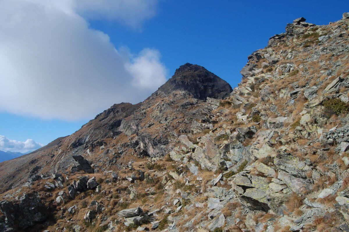 Colle della Portìa: Passeggiata con Vista sul Monviso Colle della Portìa: Passeggiata con Vista sul Monviso desktop picture