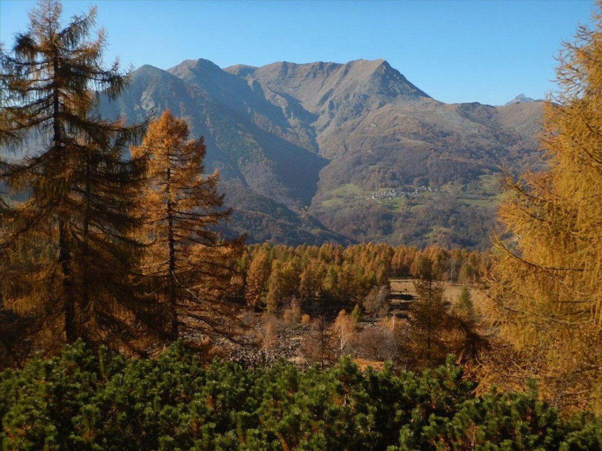 Colle della Portìa: Passeggiata con Vista sul Monviso Colle della Portìa: Passeggiata con Vista sul Monviso desktop picture