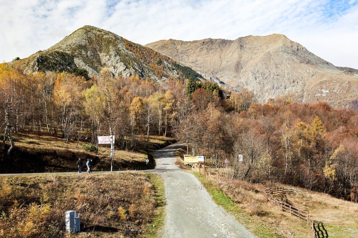 Colle della Portìa: Passeggiata con Vista sul Monviso Colle della Portìa: Passeggiata con Vista sul Monviso desktop picture