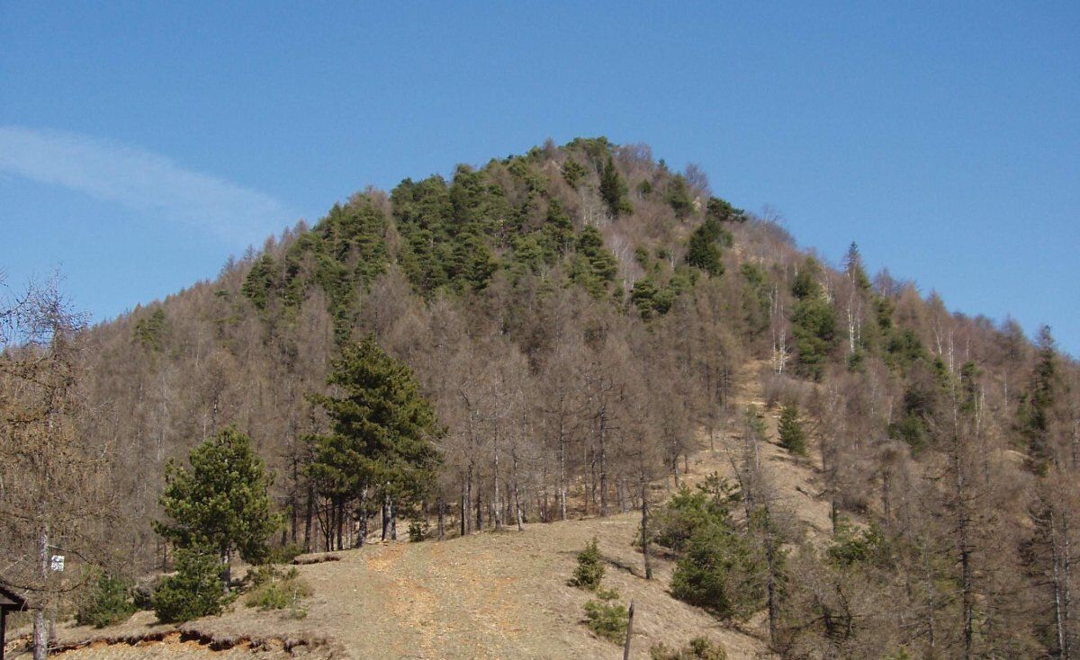 Colle della Portìa: Passeggiata con Vista sul Monviso Colle della Portìa: Passeggiata con Vista sul Monviso desktop picture