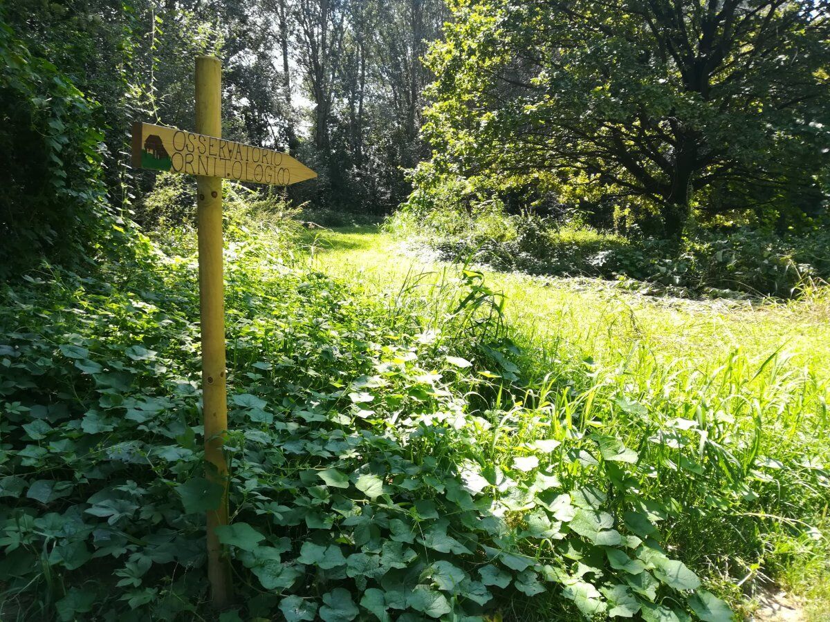 Il Parco del Gerbasso: Escursione lungo il Po Piemontese desktop picture