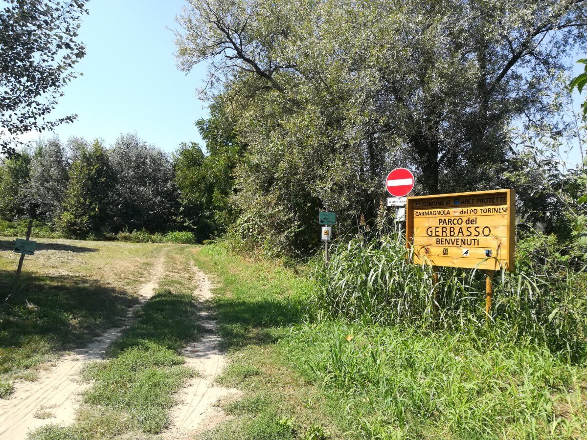 Il Parco del Gerbasso: Escursione lungo il Po Piemontese Il Parco del Gerbasso: Escursione lungo il Po Piemontese desktop picture