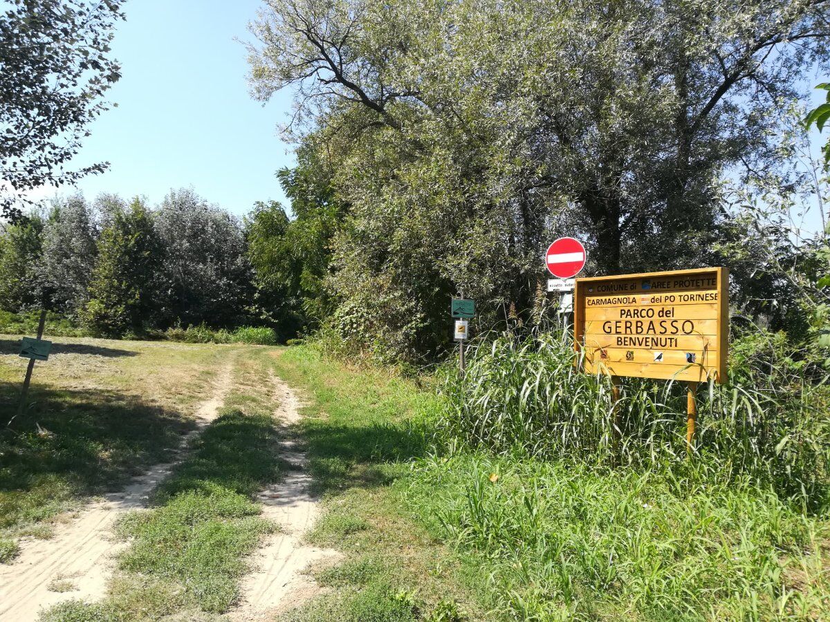 Il Parco del Gerbasso: Escursione lungo il Po Piemontese desktop picture