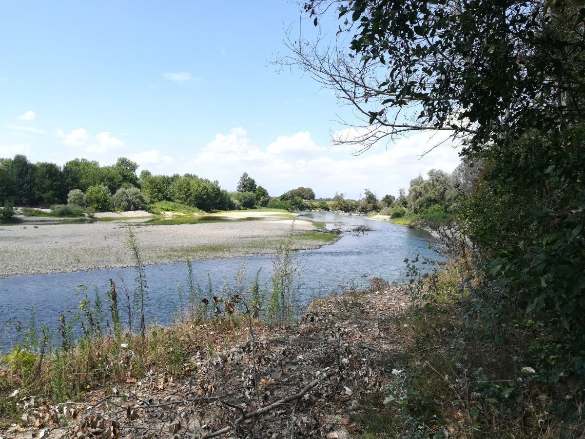 Il Parco del Gerbasso: Escursione lungo il Po Piemontese desktop picture