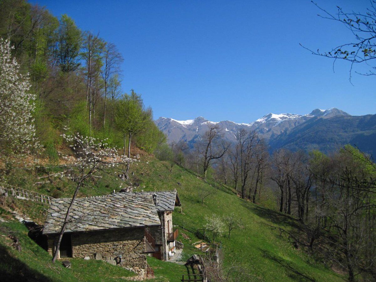 Da Mezzenile all'Alpe Belvedere: Panoramica sulle Valli di Lanzo desktop picture