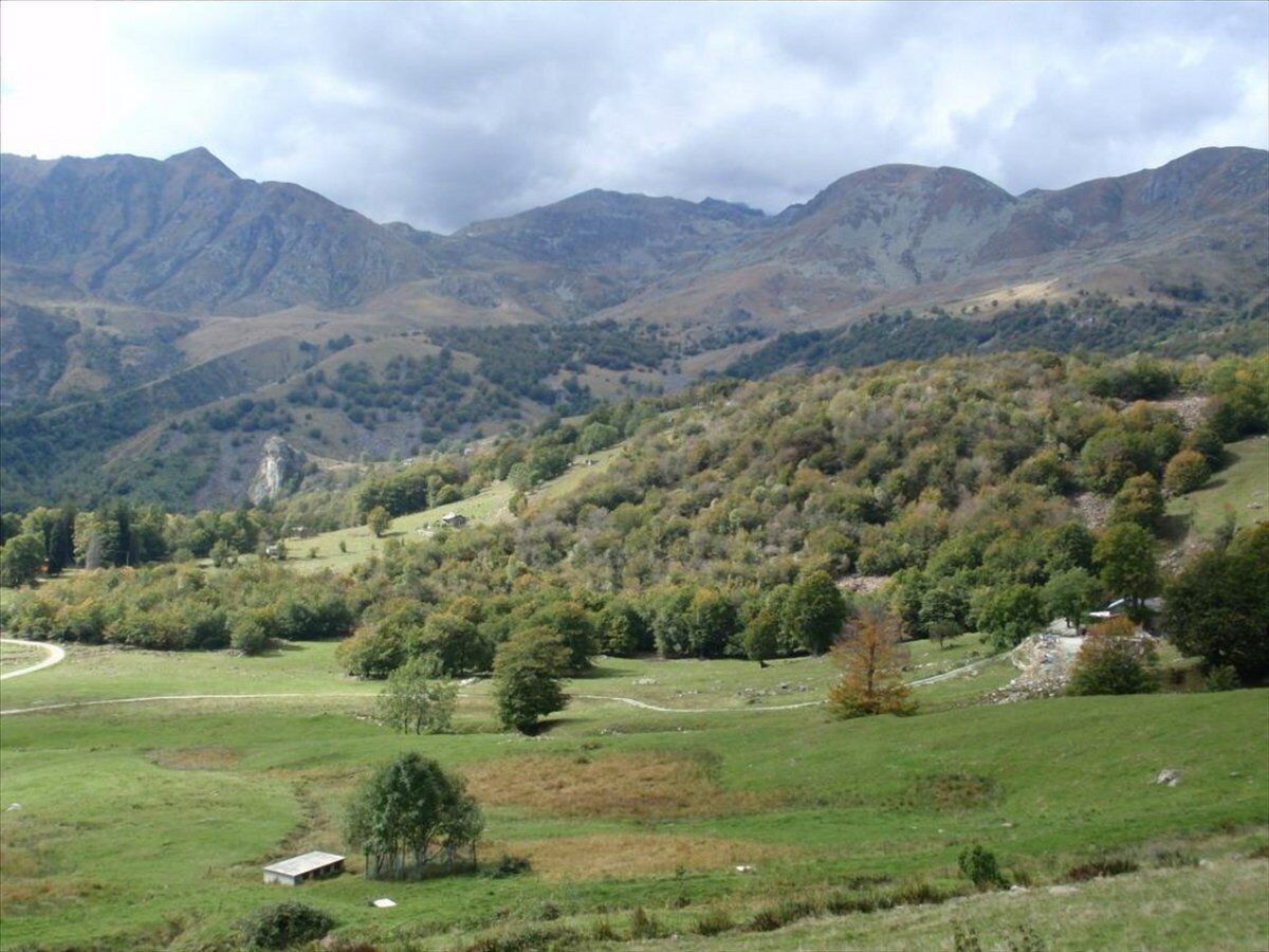 Panchina Gigante Ciclamino: Camminata con Vista sul Colle della Dieta Panchina Gigante Ciclamino: Camminata con Vista sul Colle della Dieta desktop picture