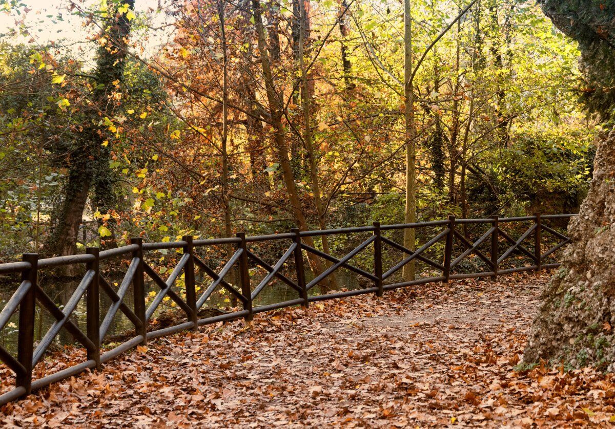 Tour dei Giardini di Porta Venezia: Incantati dai Colori Autunnali desktop picture