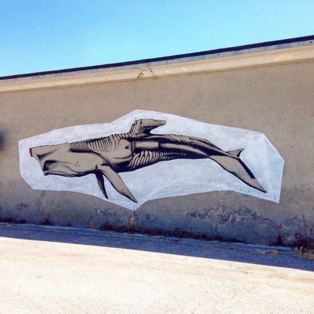 Percorsi di Arte Urbana a Ravenna Percorsi di Arte Urbana a Ravenna desktop picture