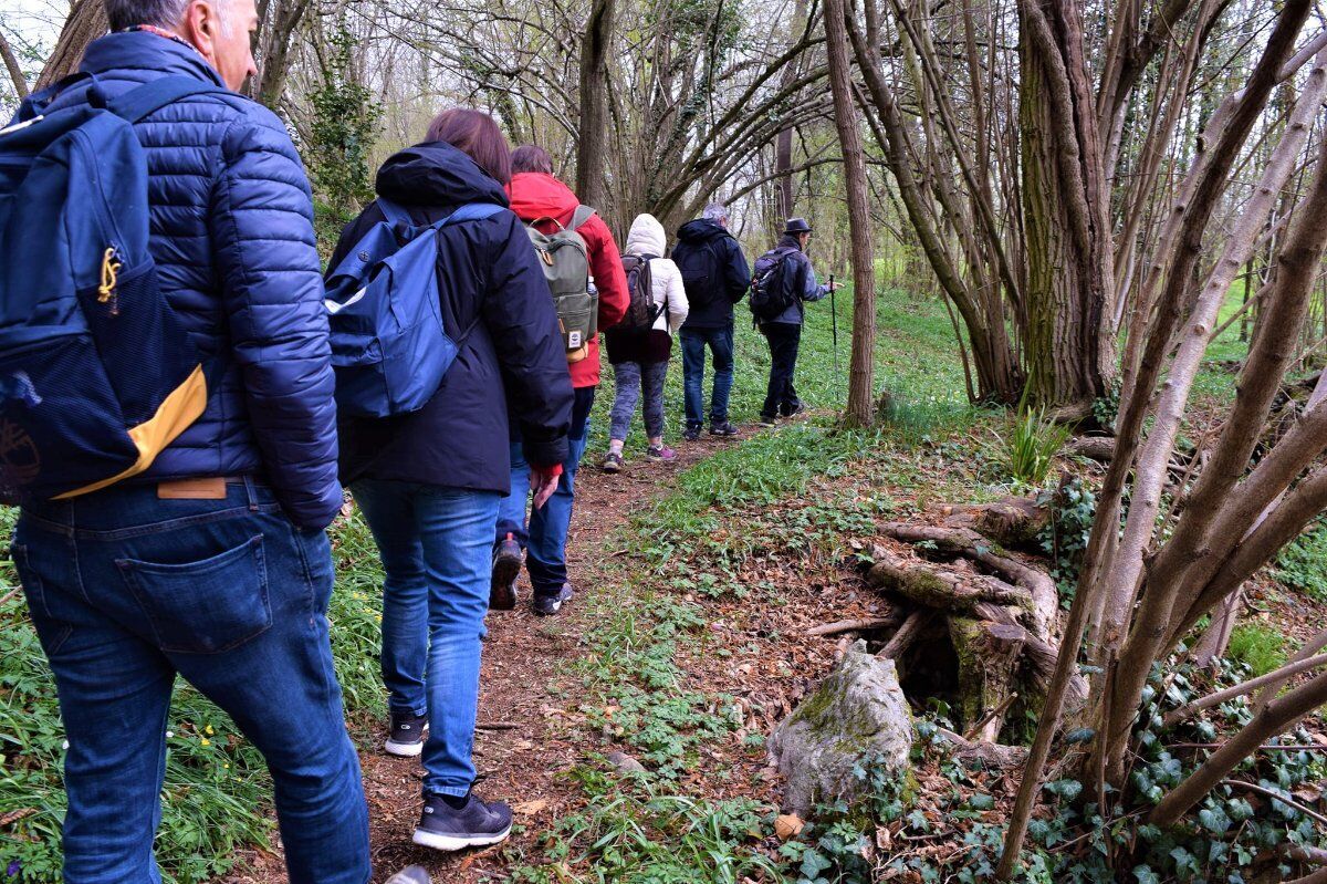 Pasquetta in Brianza: Rilassante passeggiata tra Campagne e Boschi desktop picture