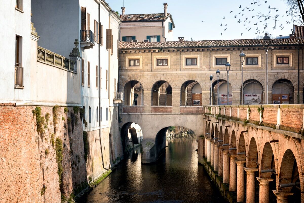 Mantova con il naso all'insù: Passeggiata tra Torri e Campanili Mantova con il naso all'insù: Passeggiata tra Torri e Campanili desktop picture