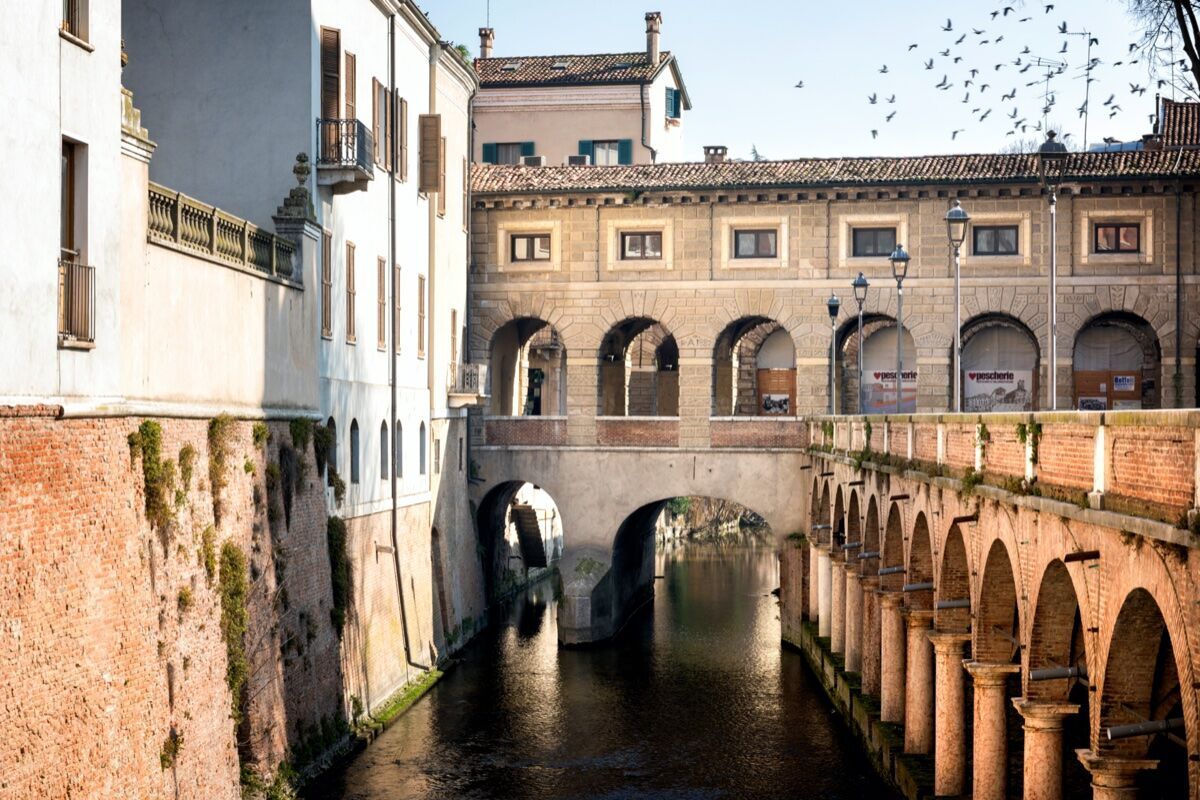 Mantova con il naso all'insù: Passeggiata tra Torri e Campanili desktop picture