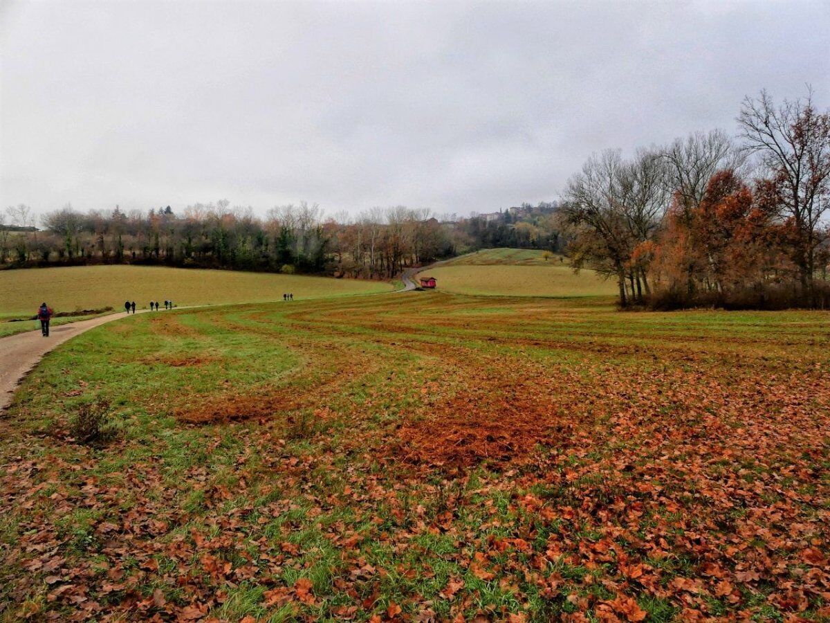 Big Bench Azzurra: Dolce Camminata tra i Colli del Monferrato Big Bench Azzurra: Dolce Camminata tra i Colli del Monferrato desktop picture