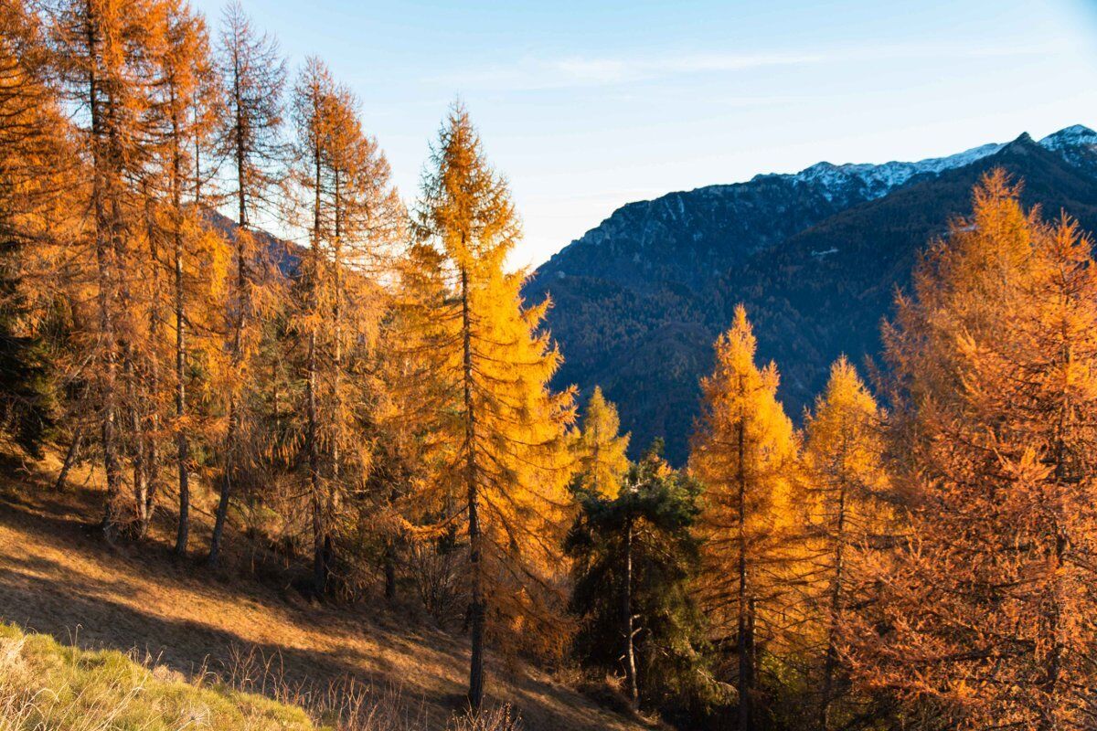 Escursione tra i magici colori autunnali: la Forra del Lupo Escursione tra i magici colori autunnali: la Forra del Lupo desktop picture