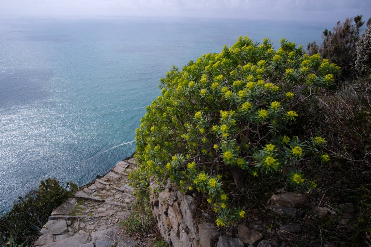 La Maestosa Scalinata di Monesteroli: Trekking tra Terra e Mare La Maestosa Scalinata di Monesteroli: Trekking tra Terra e Mare desktop picture