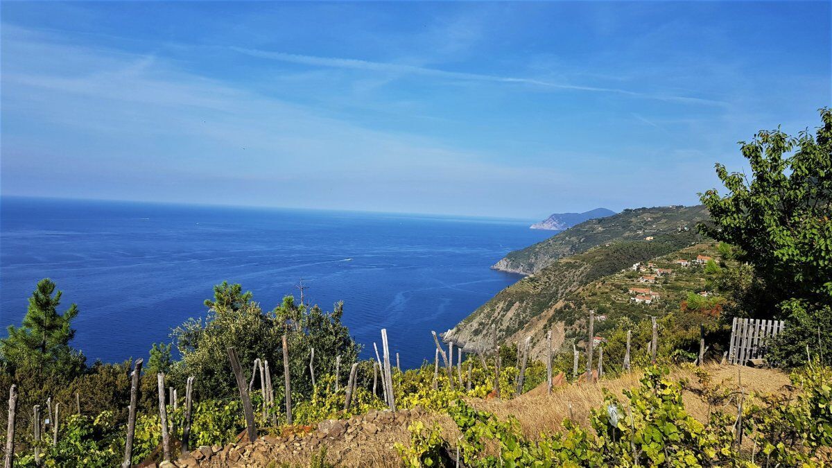 La Maestosa Scalinata di Monesteroli: Trekking tra Terra e Mare La Maestosa Scalinata di Monesteroli: Trekking tra Terra e Mare desktop picture