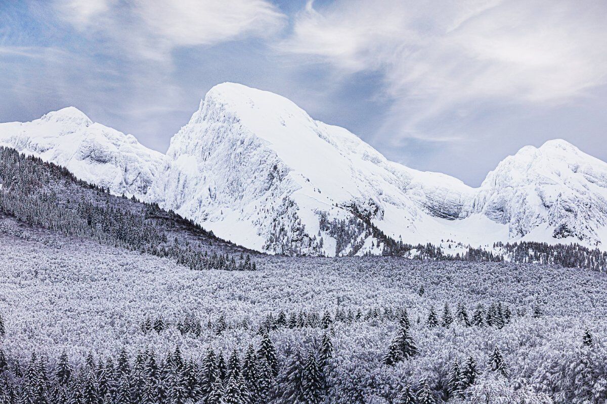 Ciaspolata a Casera Palantina: fra Alpago e il Cansiglio Ciaspolata a Casera Palantina: fra Alpago e il Cansiglio desktop picture