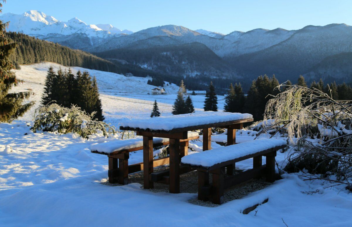 Ciaspolata a Casera Palantina: fra Alpago e il Cansiglio Ciaspolata a Casera Palantina: fra Alpago e il Cansiglio desktop picture