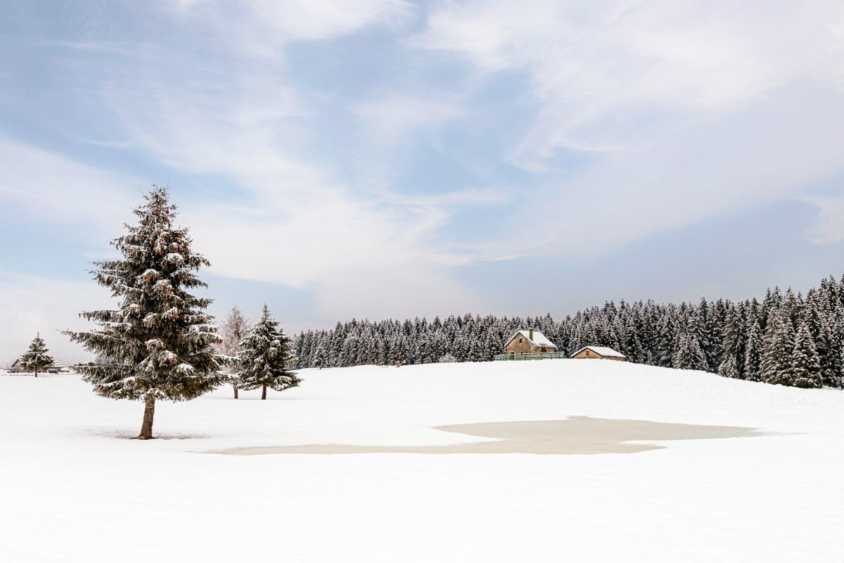 Ciaspolata a Casera Palantina: fra Alpago e il Cansiglio Ciaspolata a Casera Palantina: fra Alpago e il Cansiglio desktop picture