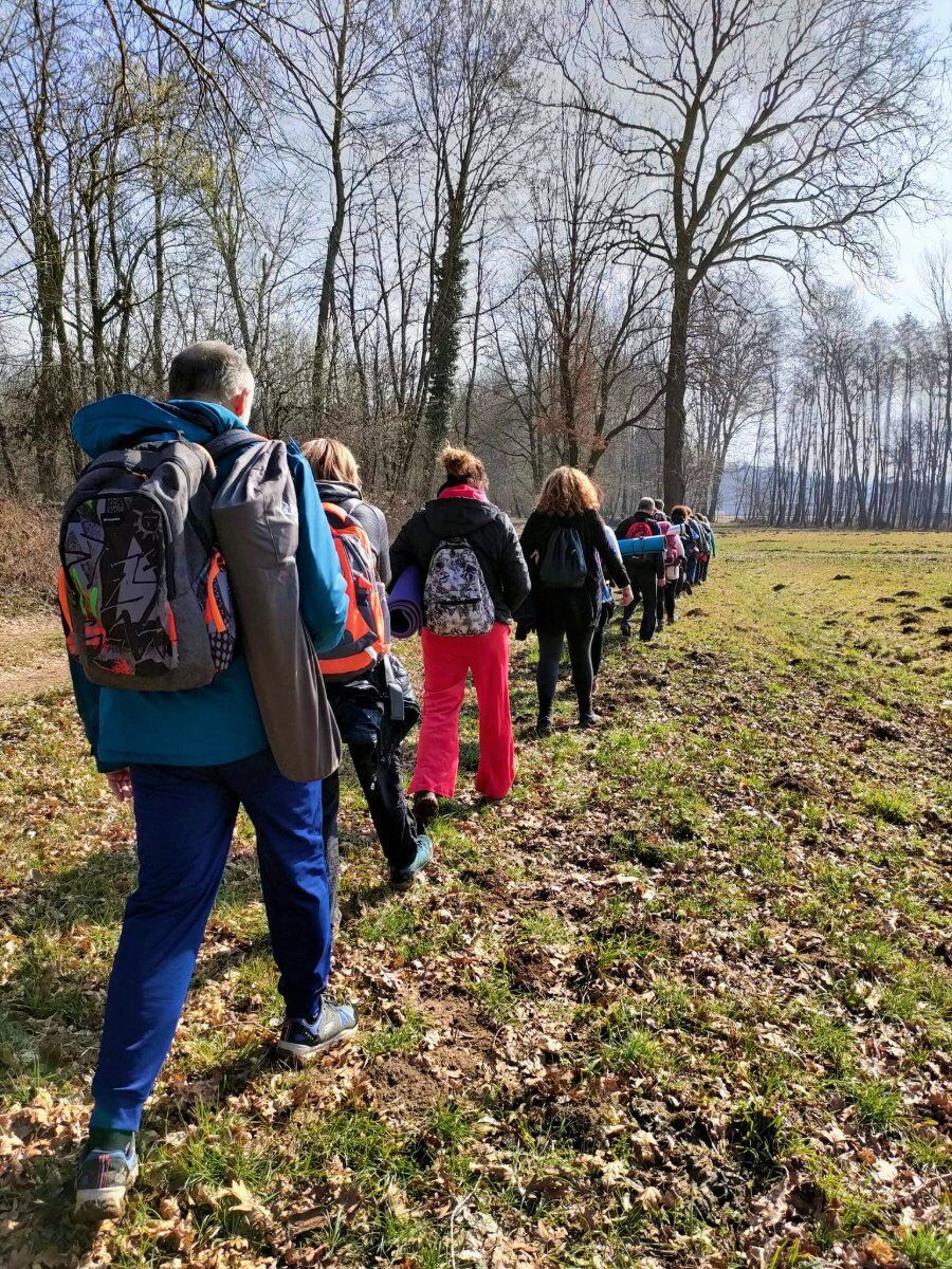 Shinrin-Yoku a Gattico: immergiti nella "Tua" Natura Shinrin-Yoku a Gattico: immergiti nella "Tua" Natura desktop picture