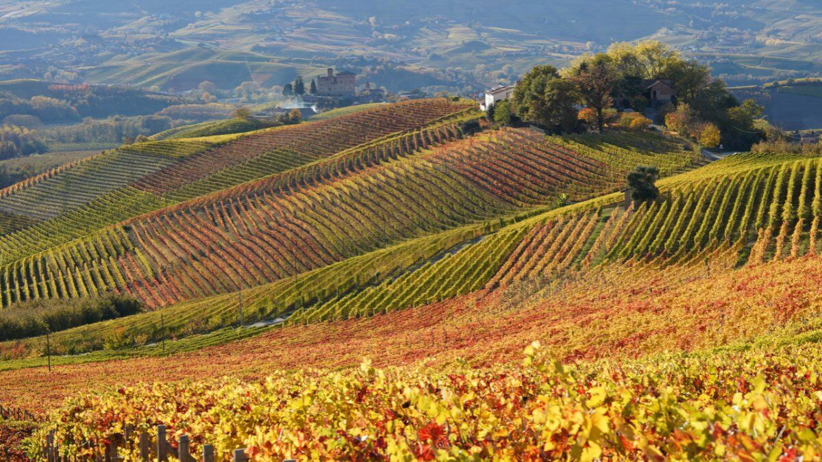 "Mira il Bello": Un Percorso sulle Colline del Monferrato "Mira il Bello": Un Percorso sulle Colline del Monferrato desktop picture