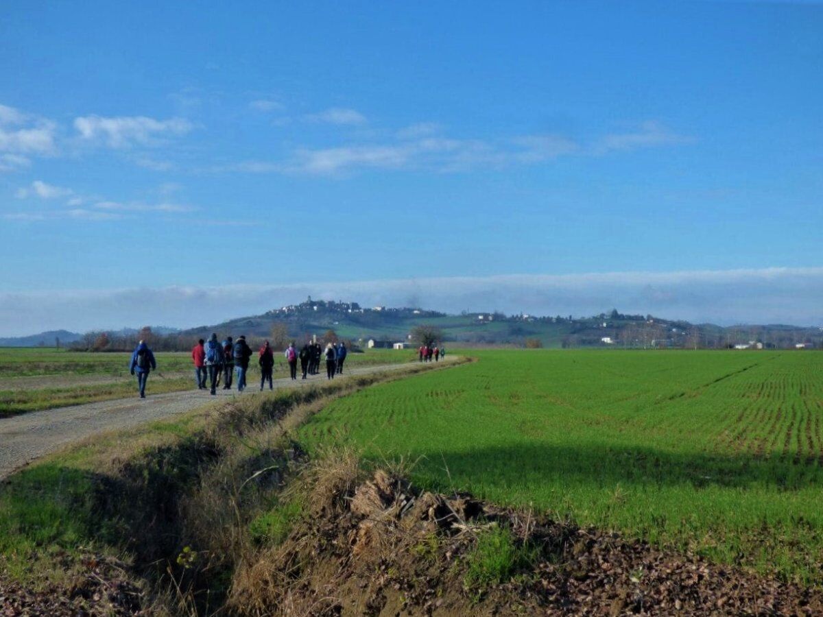 "Mira il Bello": Un Percorso sulle Colline del Monferrato desktop picture