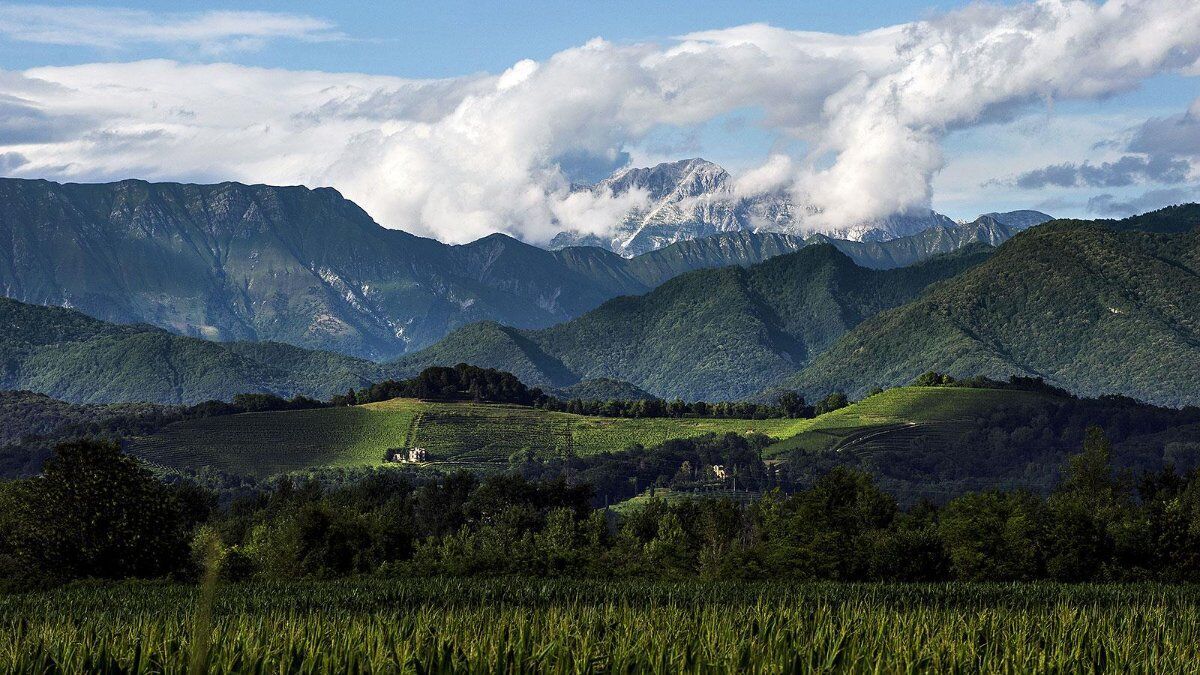 Trekking tra i Castelli di Faedis con Degustazione in Cantina desktop picture